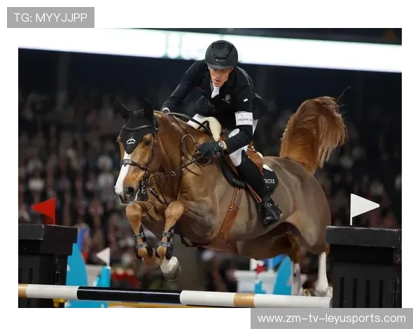 瑞士马术协会出版“Schwingfest”历史专著,记录赛事发展历程。,马术瑞典