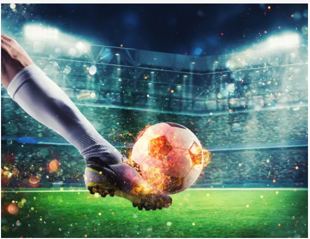 乐鱼体育·leyu APP下载 -官方网站入口